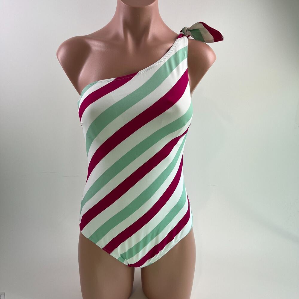 Tigerlily Kaipo Naomi One Piece One Shoulder Stripe Swimsuit Multicolor Sz S NWT